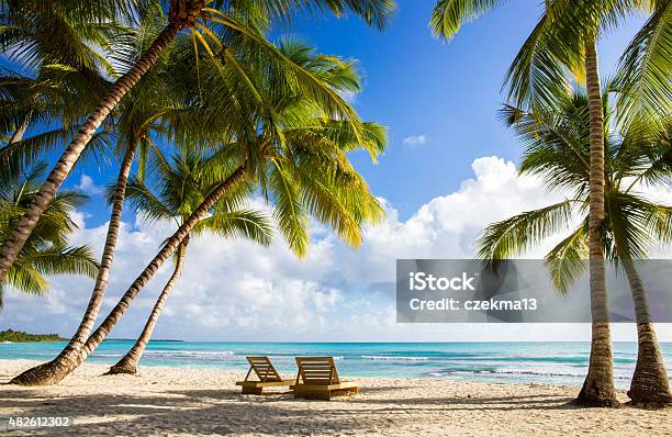 Saona Island Beach Stock Photo - Download Image Now - Beach, Palm Tree, Caribbean Sea