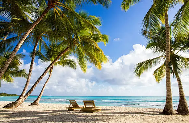 Beautiful caribbean beach on Saona island, Dominican Republic