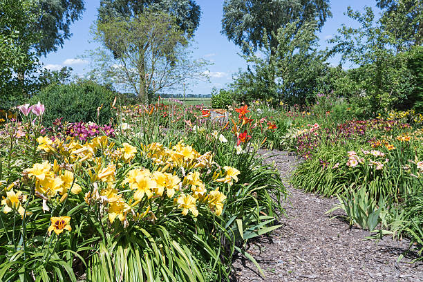istock Dutch blooming garden with hiking trails 482612542