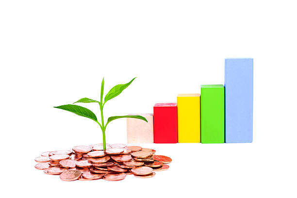 istock bussiness concept:growing plant in coin isolated on white background 482614327