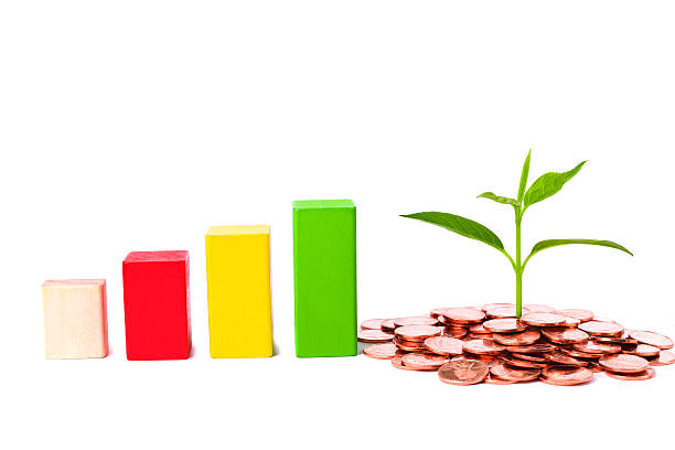 bussiness concept:growing plant in coin isolated on white background