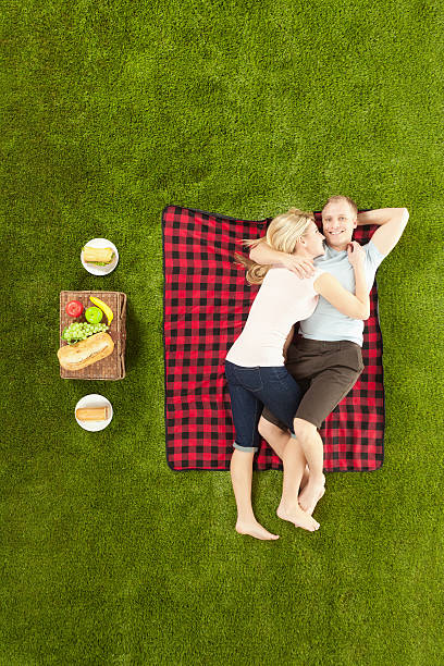 istock Romantic young couple at picnic 482614881