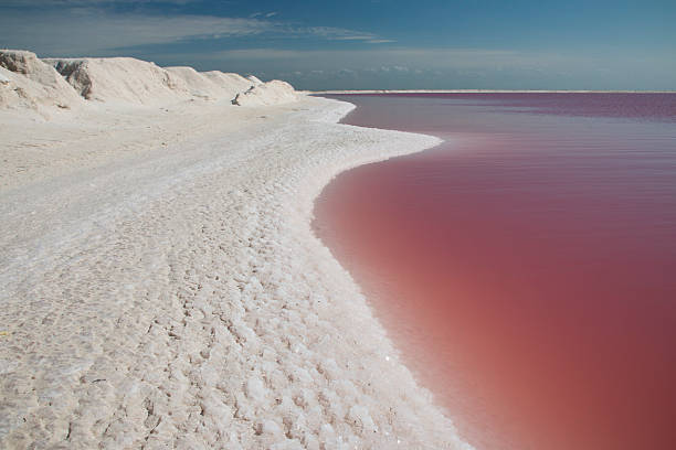Salty pink waters Las Coloradas  in Yucatan, Mexico stock photo
