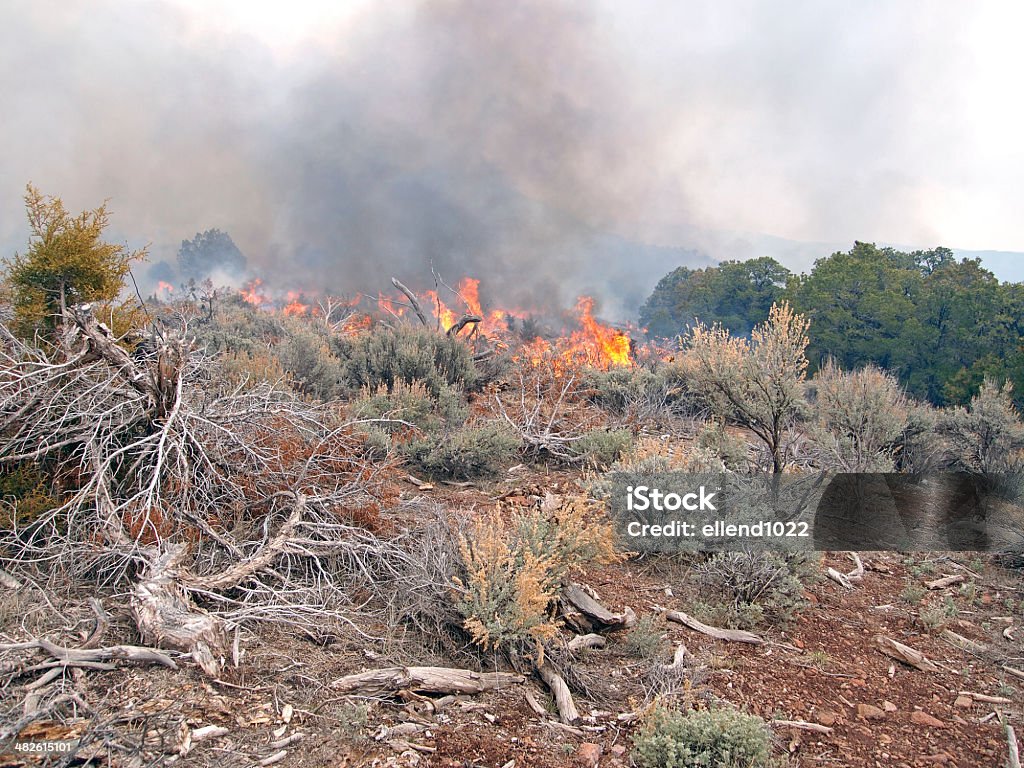 Burning Wildland fire fighters use prescribed fire to manage rangeland vegetation. Fire - Natural Phenomenon Stock Photo