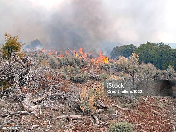 Burning Stock Photo - Download Image Now - Fire - Natural Phenomenon, Rangeland, Burning