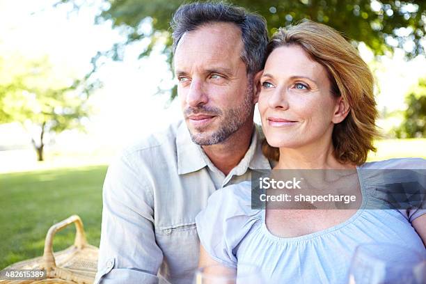 What A Spectacular View Stock Photo - Download Image Now - Mature Couple, Picnic, 40-44 Years