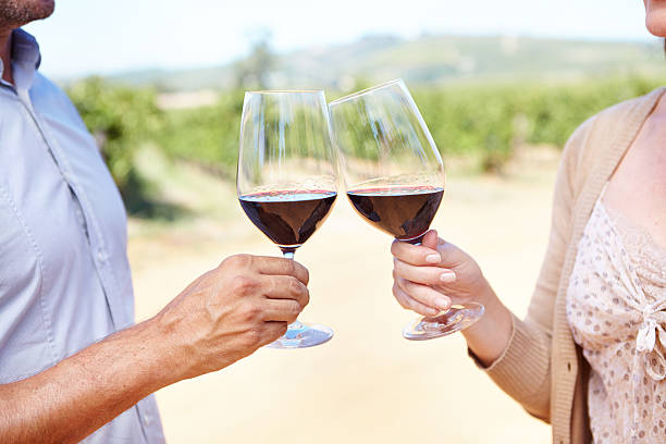 istock Let's toast to our success! 482615719