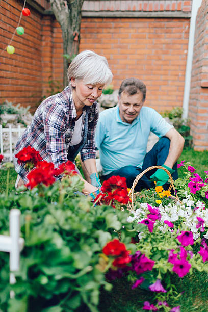 istock Senior Couple Gardening Together. 482616040