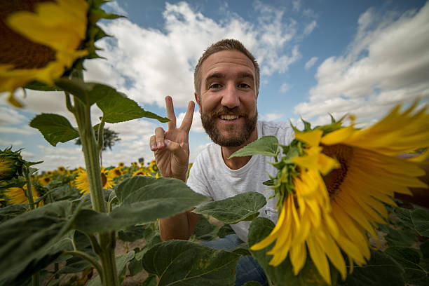istock Cheerful young man taking selfie in sunflower field 482616062