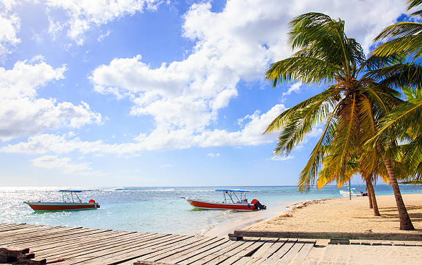 istock Caribbean beach in Dominican Republic 482616142