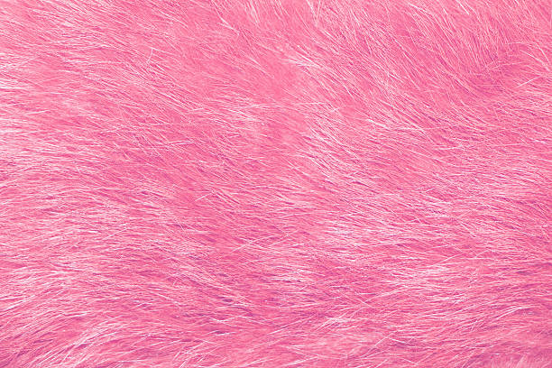 16,700+ Pink Furry Texture Stock Photos, Pictures & Royalty-Free Images ...