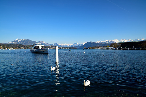 Lucerne, Canton, Switzerland – April 08, 2015: People enjoy cruising Lake Lucerne and watching swans.