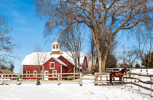 istock New England Horse Farm 482619305
