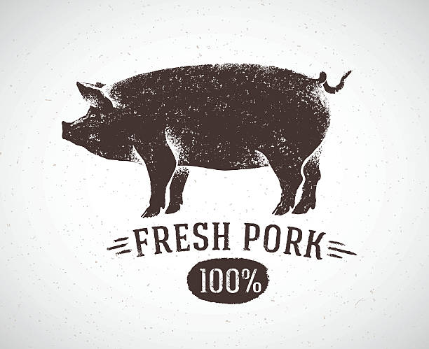 Graphic pig. Graphic pig and labeled: "Fresh pig". Vector illustration drawn, by hand. Can be used as labels and packaging. pork illustrations stock illustrations
