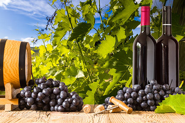 istock Red wine bottles with grapes on wodden board. Beautiful Tuscany 482629168