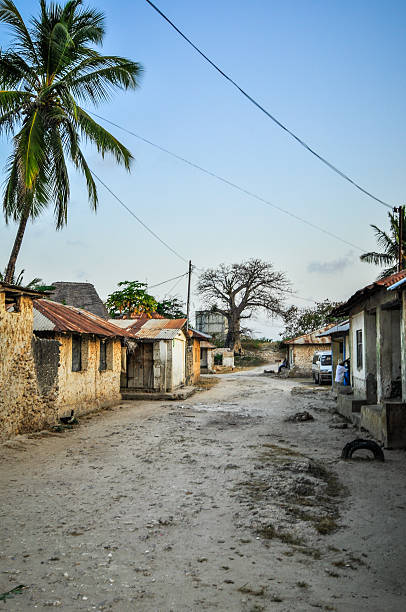 istock Zanzibar beach Tanzania 482629763