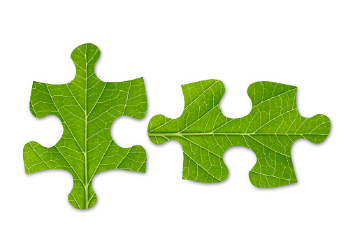 green puzzle piece on white