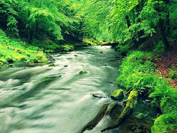 istock Mountain stream in sandstone gulch and below green branches 482630614