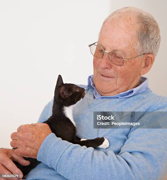 彼女の素敵なアイテムです - 飼い猫のストックフォトや画像を多数ご用意 - 飼い猫, 70代, 年配の男性