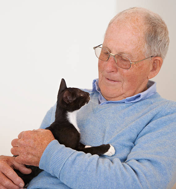 istock She's a wonderful companion! 482631579