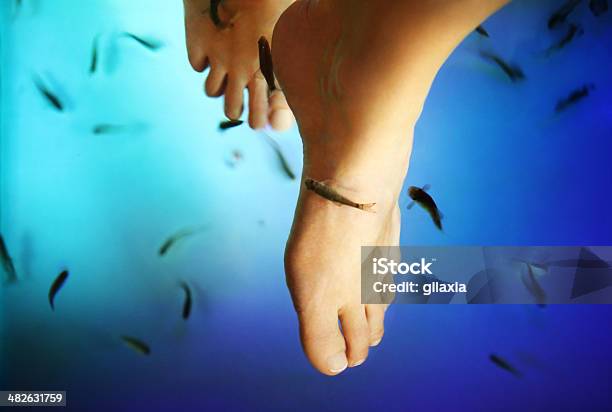 Fish Pedicure Stock Photo - Download Image Now - Adult, Alternative Therapy, Animal