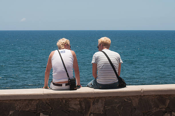 istock Gay duo at the seaside 482632923