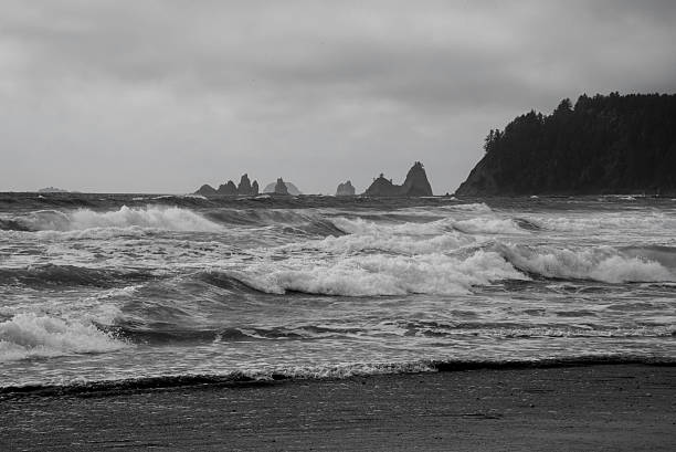 Mare pile a Rialto Beach - foto stock