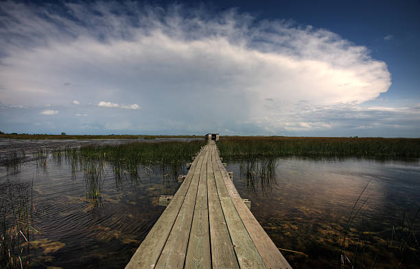 istock Boardwalk over water at Last Mountain Wildlife Refuge 482633785