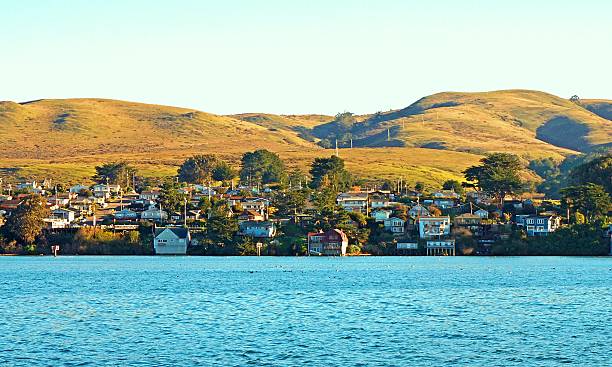 bodega bay, округ сонома, штат калифорния - sonoma county california coastline northern california стоковые фото и изображения