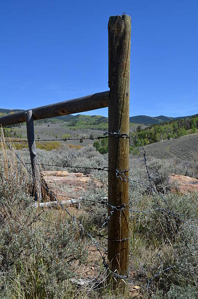 istock Barbed wire fence in western Colorado 482633978