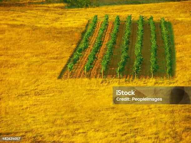 Agriculture Can Be Picturesque Stock Photo - Download Image Now - Agriculture, Autumn, Beauty In Nature