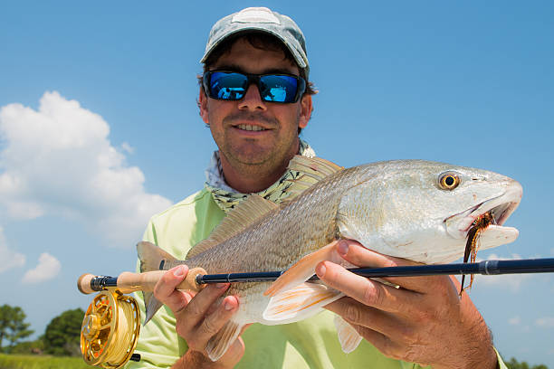 istock Fisherman holding fish and fly rod 482634191