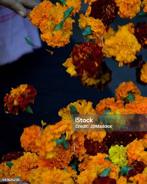 Tossed Marigolds Stock Photo - Download Image Now - Bouquet, Bunch, Bunch of Flowers