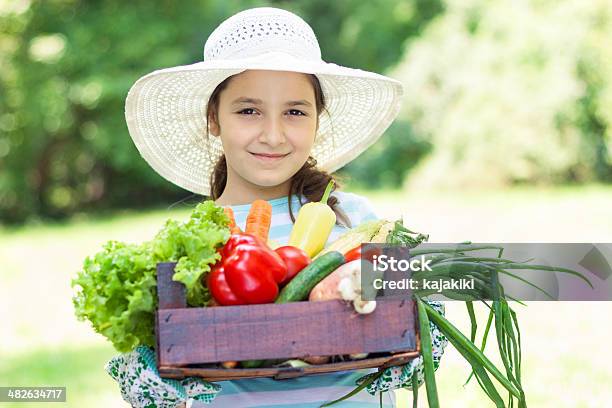 Cosecha De Hortalizas Frescas De Verano Foto de stock y más banco de imágenes de Agarrar - Agarrar, Niñas, Vegetal