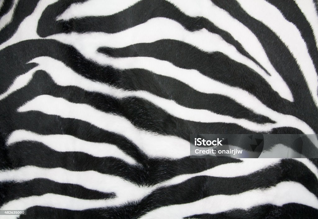 Zebra texture Zebra texture background 2015 Stock Photo