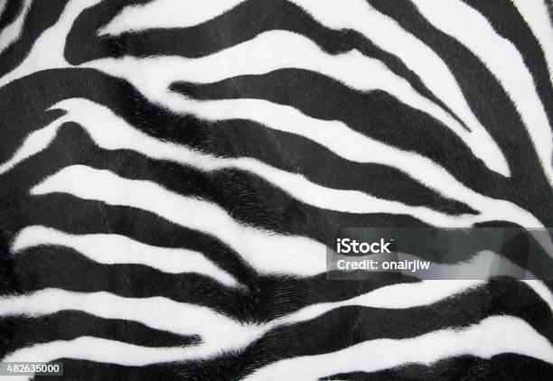 Zebra Texture Stock Photo - Download Image Now - 2015, Abstract, Africa