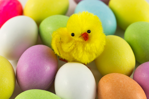 Easter eggs with chick and white background