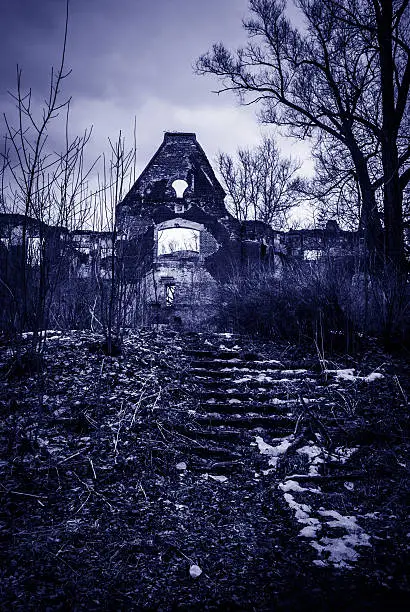 black white horror landscape ruined building trees stairs toned blue