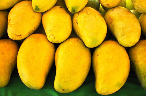 Ripe mangoes for sale at Thailand market