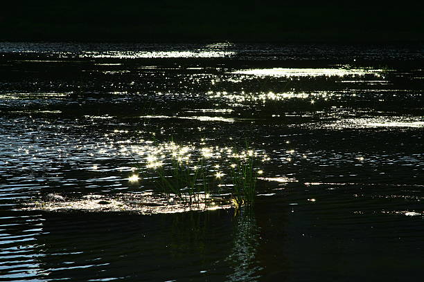 istock Flecks of sunlight sparkle in the quick water. 482639194