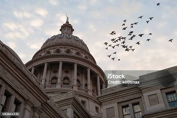 Capitólio Do Estado Do Texas - Fotografias de stock e mais imagens de Austin - Texas - Austin - Texas, Bando de pássaros, Pássaro