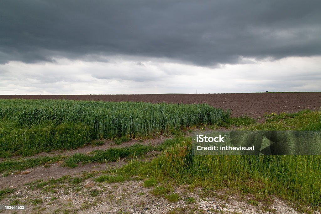 Field and Stormy Sky Green field with harvested land and Stormy Sky 2015 Stock Photo