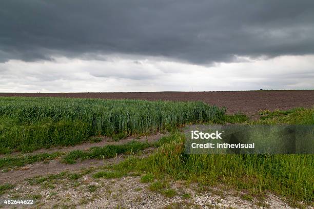 Field And Stormy Sky Stock Photo - Download Image Now - 2015, Agricultural Field, Agriculture