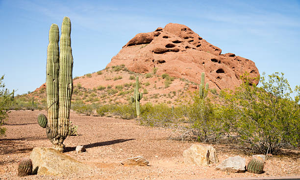 istock Arizona Desert Landscape Red Rocks Cactus Arid Landscape 482644840