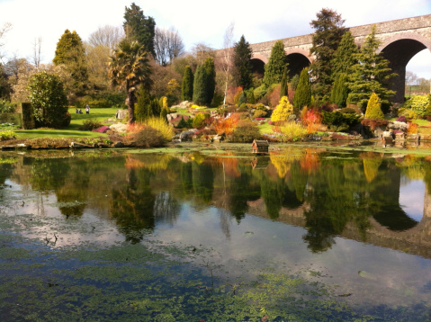 Image of Mill Pond in the autumnal gardens of Somerset, England, UK with viaduct arches in the background