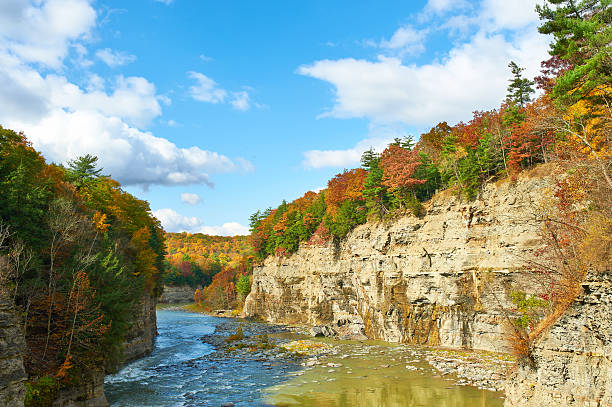 istock Autumn scene of river and forest 482646764