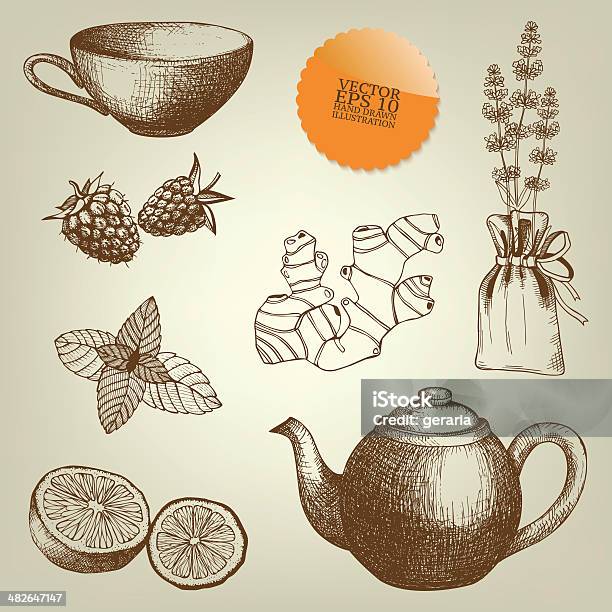 Intage Hand Drawn Tea Time And Spices Illustrations Stock Illustration - Download Image Now