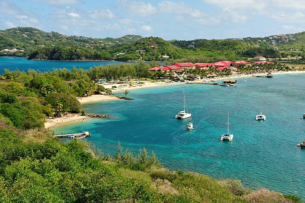 istock Rodney Bay on Saint Lucia 482647959