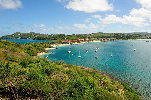 istock Rodney Bay on Saint Lucia 482648055