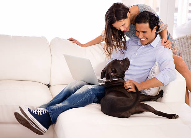 istock There's enough love for everyone! 482648835